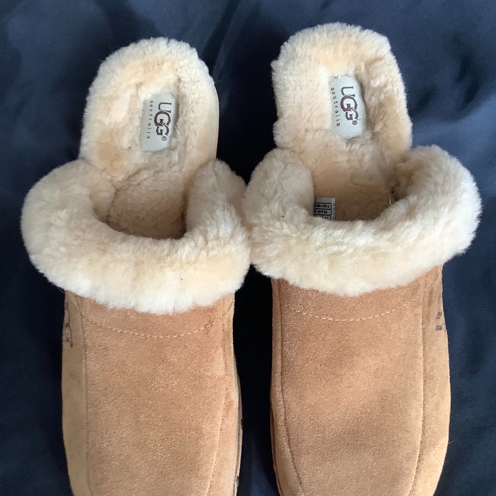 Ugg Kalie clog Suede Shoes